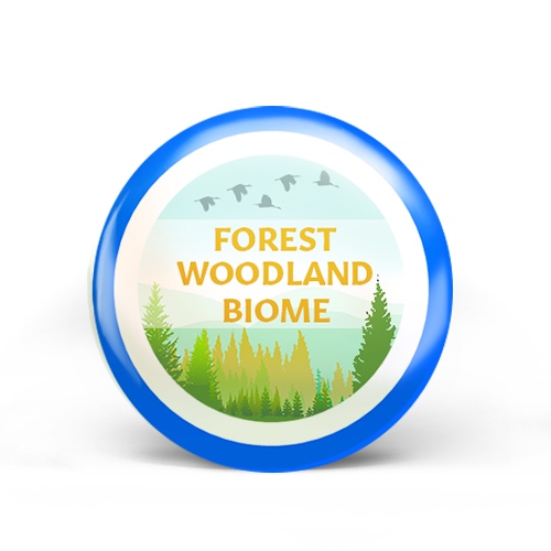 Forest Woodland Biome Badge
