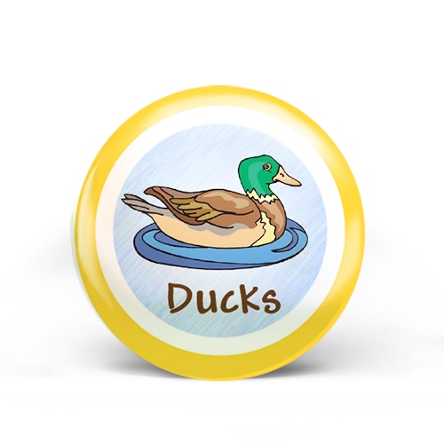 Ducks Badge