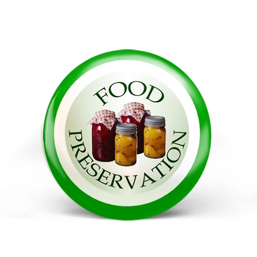 Food Preservation Badge