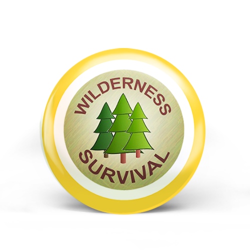 Wilderness Survival Badge