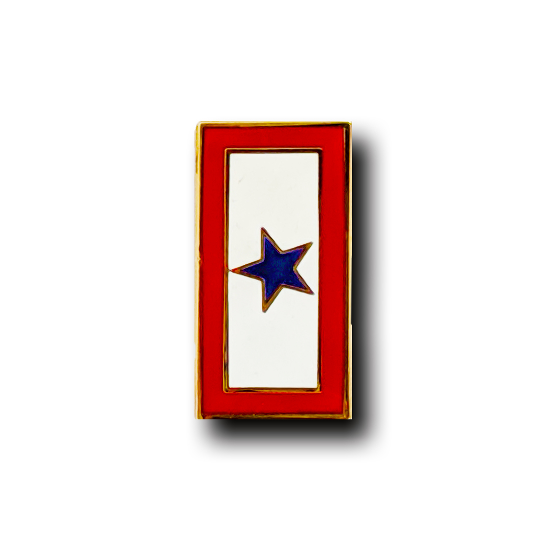 Military Service Flag Pin