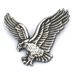 Eagle Level Pin
