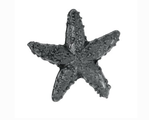 Starfish Level Pin