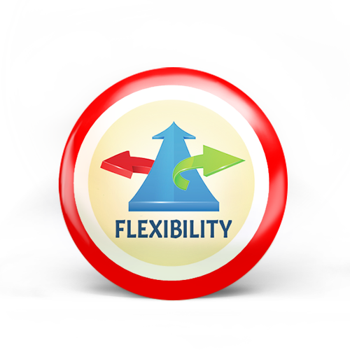 Flexibility Badge