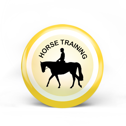Horse Training Badge