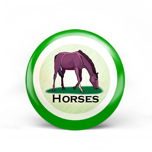 Horses Badge