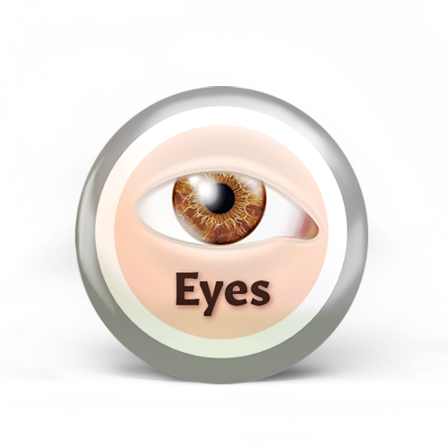 Eyes Badge