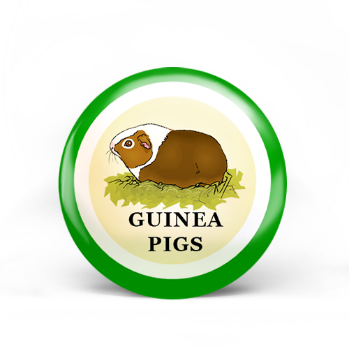 Guinea Pig Badge
