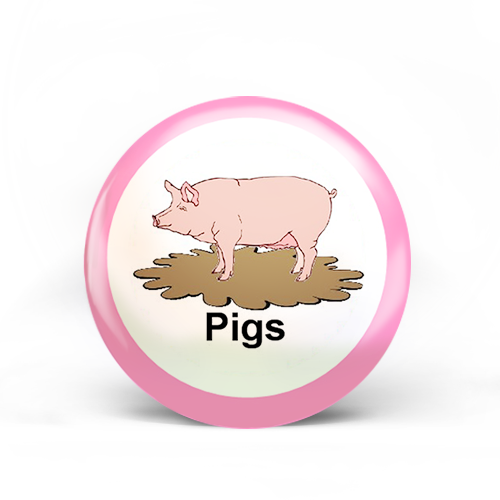 Pigs Badge