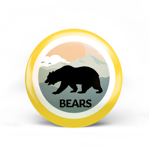 Bears Badge