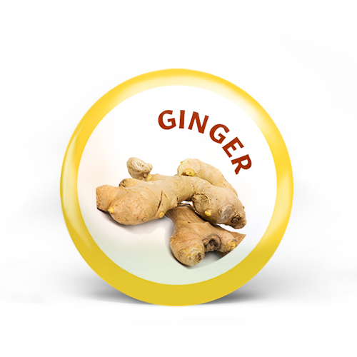 Ginger Badge