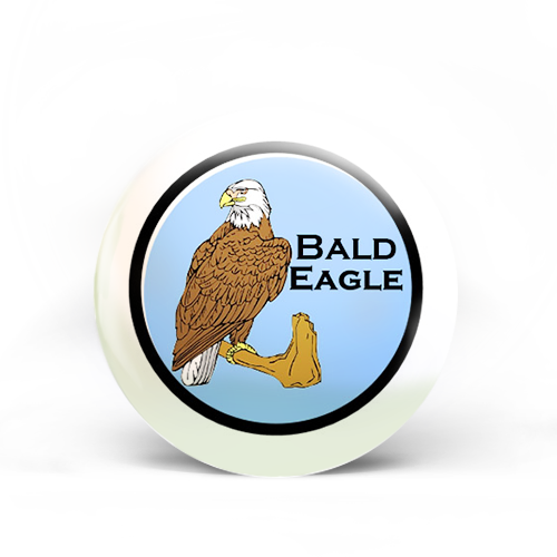 Bald Eagle Badge