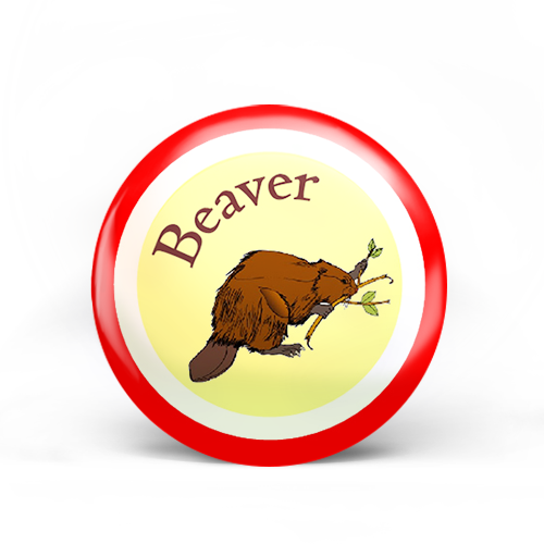 Beavers Badge