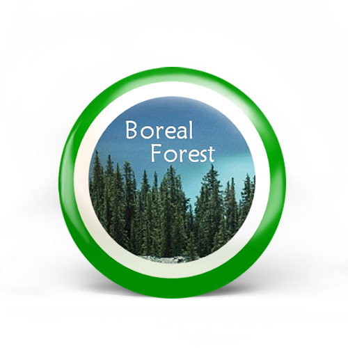 Boreal Forest Badge