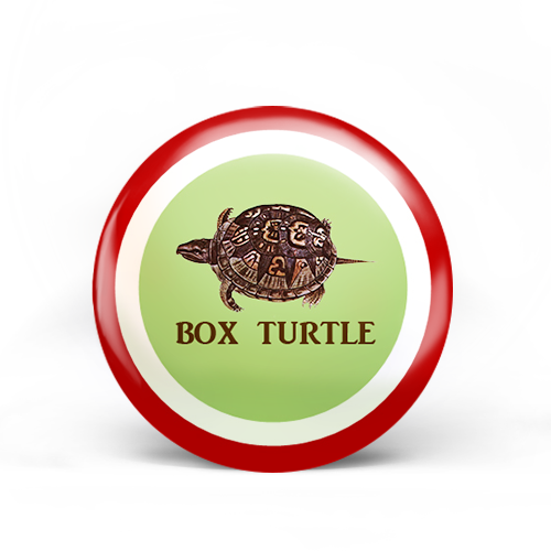 Box Turtle Badge
