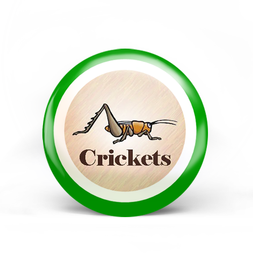 Crickets Badge