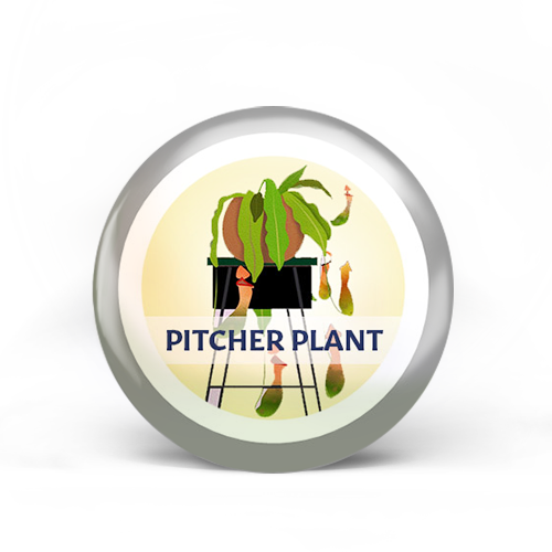 Pitcher Plant Badge